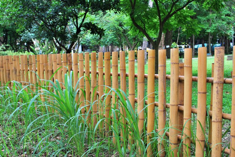 Bamboo Trimmings for Landscaping