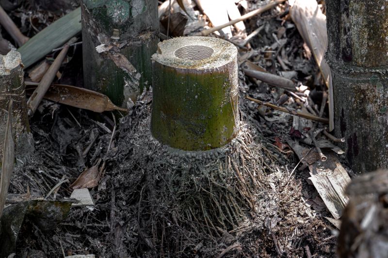 Processing Techniques